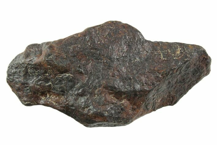 Canyon Diablo Iron Meteorite ( g) - Arizona #356112